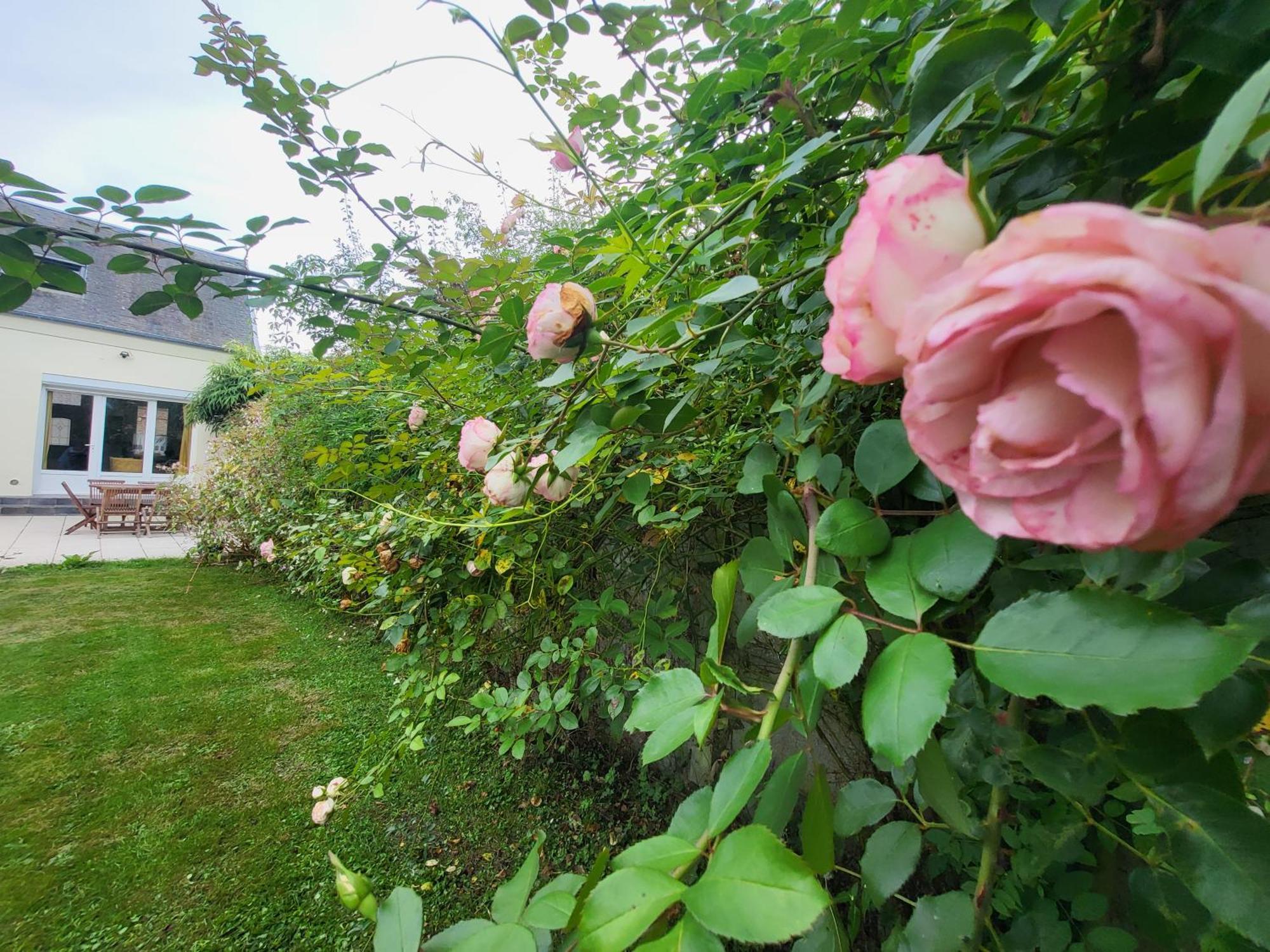 La Massette * Favieres (Somme)